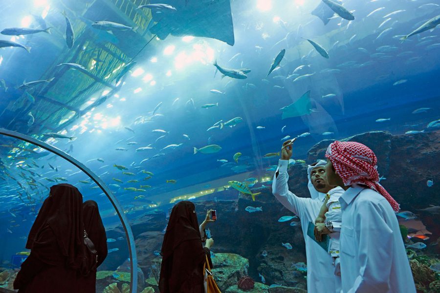 Dubai Aquarium And Underwater Zoo