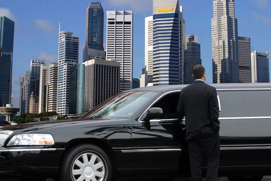 1 Hour Limousine Tour Singapore