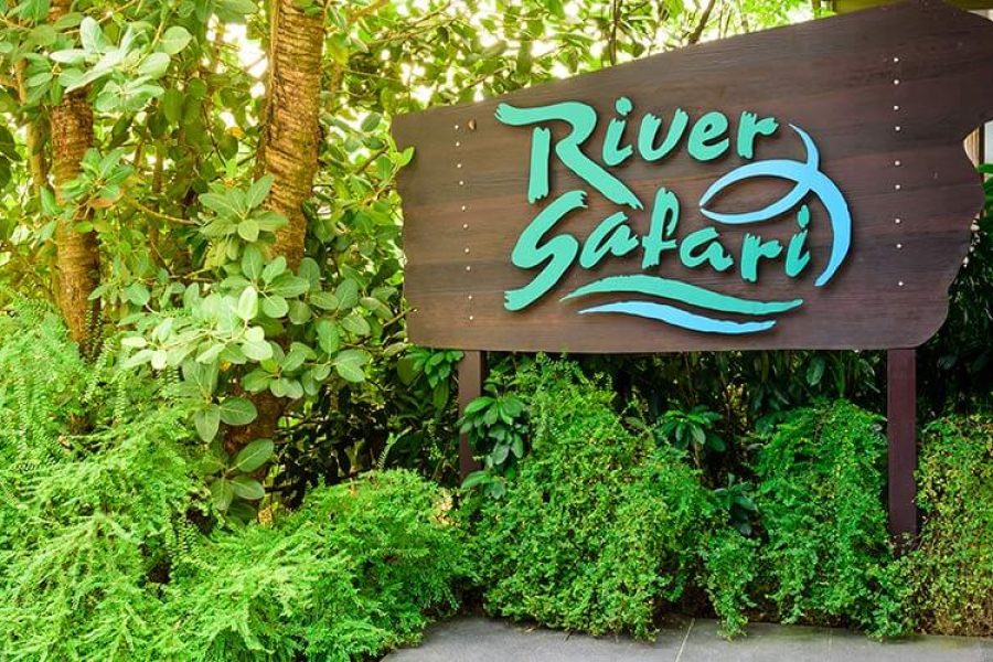 River Safari With Lunch