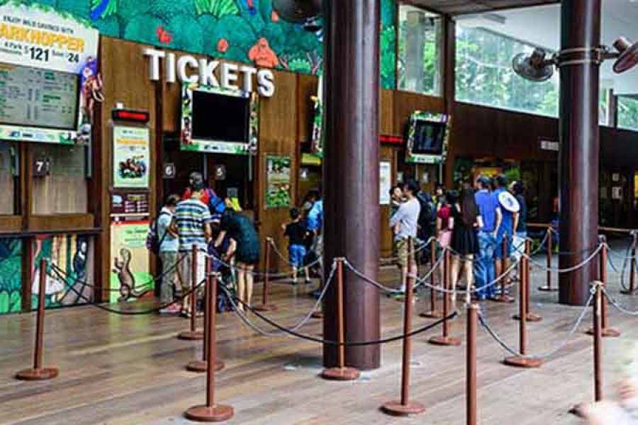 Night Safari Singapore