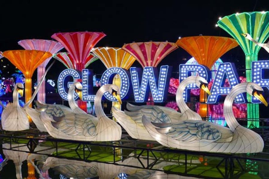 Glow Garden