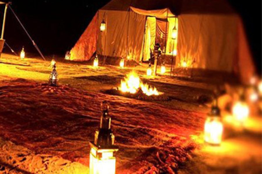 Overnight Safari