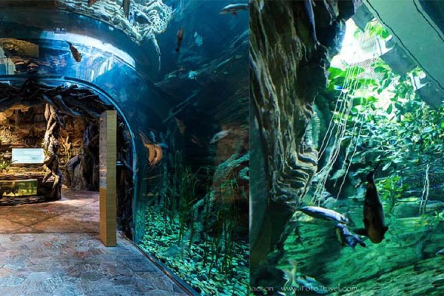 The Green Planet Dubai