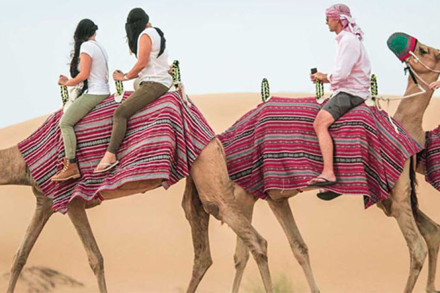 Camel Riding