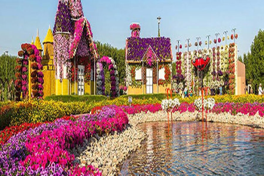 Miracle Garden Dubai